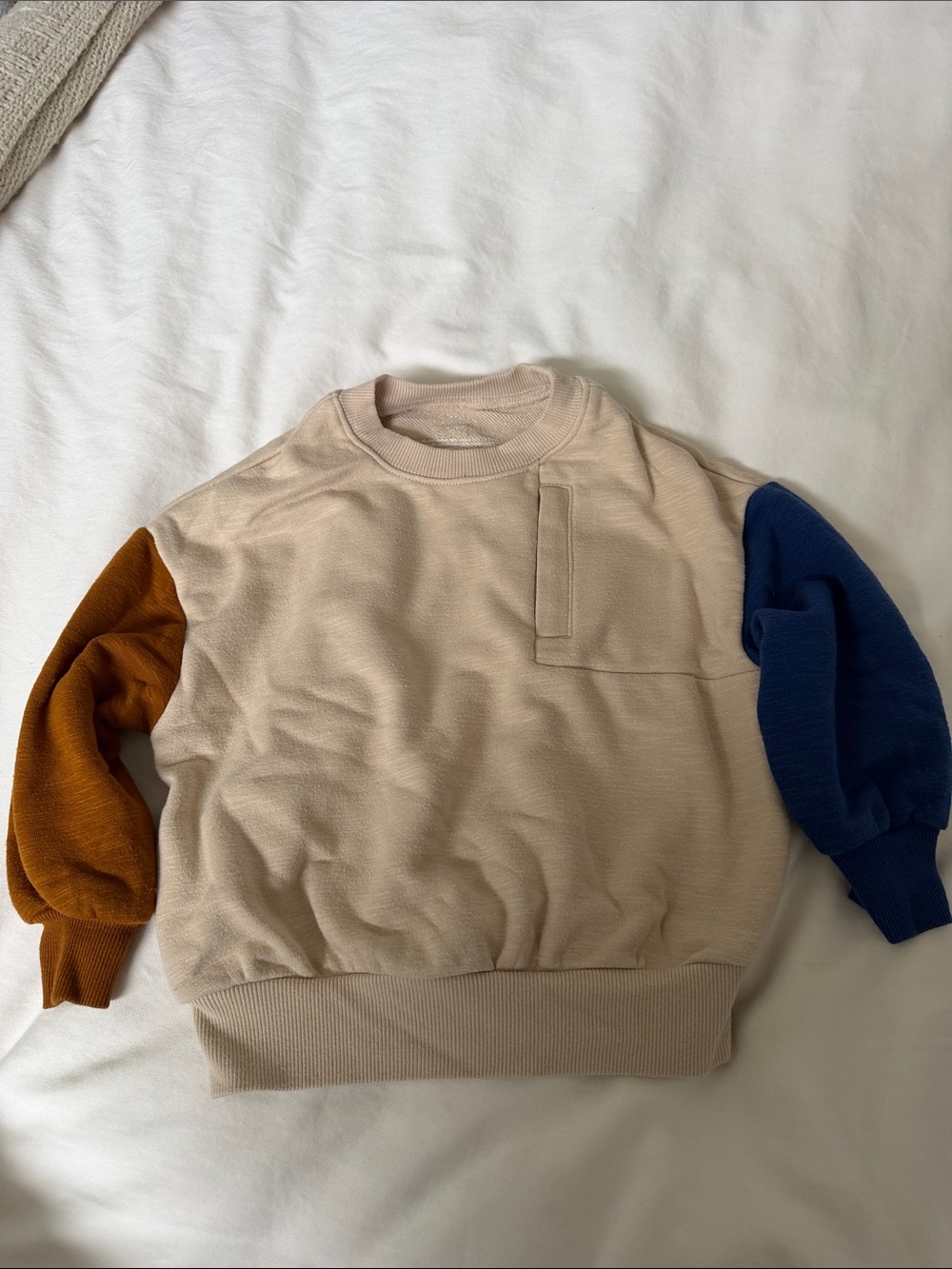 Carter's Beige Crewneck Sweater with Blue and Brown Sleeves